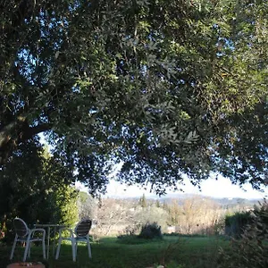 Fattoria Di Malavolta Florence